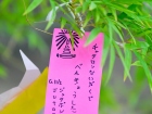 เทศกาลทานาบาตะ (Tanabata) 2026 Image 34