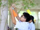 เทศกาลทานาบาตะ (Tanabata) 2026 Image 40