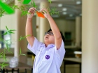 เทศกาลทานาบาตะ (Tanabata) 2026 Image 47