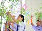 เทศกาลทานาบาตะ (Tanabata) 2026 Image 49