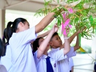 เทศกาลทานาบาตะ (Tanabata) 2026 Image 73