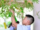 เทศกาลทานาบาตะ (Tanabata) 2026 Image 76