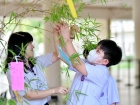 เทศกาลทานาบาตะ (Tanabata) 2026 Image 77
