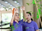เทศกาลทานาบาตะ (Tanabata) 2026 Image 81