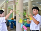 เทศกาลทานาบาตะ (Tanabata) 2026 Image 123