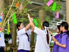 เทศกาลทานาบาตะ (Tanabata) 2026 Image 128