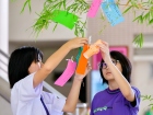 เทศกาลทานาบาตะ (Tanabata) 2026 Image 141