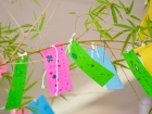 เทศกาลทานาบาตะ (Tanabata) 2026 Image 143