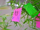 เทศกาลทานาบาตะ (Tanabata) 2026 Image 145