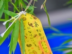 เทศกาลทานาบาตะ (Tanabata) 2026 Image 146