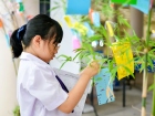 เทศกาลทานาบาตะ (Tanabata) 2026 Image 193