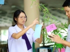 เทศกาลทานาบาตะ (Tanabata) 2026 Image 239