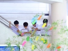 เทศกาลทานาบาตะ (Tanabata) 2026 Image 269