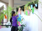 เทศกาลทานาบาตะ (Tanabata) 2026 Image 333