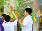 เทศกาลทานาบาตะ (Tanabata) 2026 Image 340