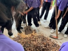 โครงการศึกษานอกสถานที่ป.5 ปีการศึกษา 2569 "เดินตามรอยเท้าพ่อ ... Image 148