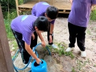 โครงการศึกษานอกสถานที่ป.5 ปีการศึกษา 2569 "เดินตามรอยเท้าพ่อ ... Image 151