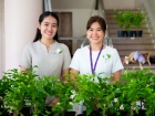 กิจกรรมเนื่องในวันคล้ายวันพระราชสมภพ สมเด็จพระนางเจ้าสิริกิต ... Image 250