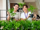 กิจกรรมเนื่องในวันคล้ายวันพระราชสมภพ สมเด็จพระนางเจ้าสิริกิต ... Image 252