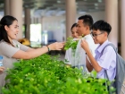 กิจกรรมเนื่องในวันคล้ายวันพระราชสมภพ สมเด็จพระนางเจ้าสิริกิต ... Image 256