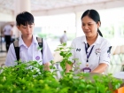 กิจกรรมเนื่องในวันคล้ายวันพระราชสมภพ สมเด็จพระนางเจ้าสิริกิต ... Image 257