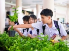 กิจกรรมเนื่องในวันคล้ายวันพระราชสมภพ สมเด็จพระนางเจ้าสิริกิต ... Image 261