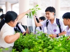 กิจกรรมเนื่องในวันคล้ายวันพระราชสมภพ สมเด็จพระนางเจ้าสิริกิต ... Image 263