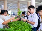 กิจกรรมเนื่องในวันคล้ายวันพระราชสมภพ สมเด็จพระนางเจ้าสิริกิต ... Image 268