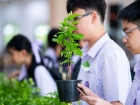 กิจกรรมเนื่องในวันคล้ายวันพระราชสมภพ สมเด็จพระนางเจ้าสิริกิต ... Image 270