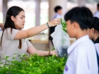 กิจกรรมเนื่องในวันคล้ายวันพระราชสมภพ สมเด็จพระนางเจ้าสิริกิต ... Image 272