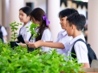 กิจกรรมเนื่องในวันคล้ายวันพระราชสมภพ สมเด็จพระนางเจ้าสิริกิต ... Image 273
