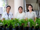 กิจกรรมเนื่องในวันคล้ายวันพระราชสมภพ สมเด็จพระนางเจ้าสิริกิต ... Image 276