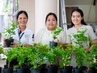 กิจกรรมเนื่องในวันคล้ายวันพระราชสมภพ สมเด็จพระนางเจ้าสิริกิต ... Image 277