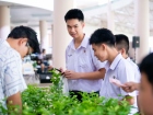 กิจกรรมเนื่องในวันคล้ายวันพระราชสมภพ สมเด็จพระนางเจ้าสิริกิต ... Image 281