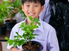กิจกรรมเนื่องในวันคล้ายวันพระราชสมภพ สมเด็จพระนางเจ้าสิริกิต ... Image 298