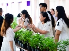 กิจกรรมเนื่องในวันคล้ายวันพระราชสมภพ สมเด็จพระนางเจ้าสิริกิต ... Image 351
