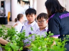 กิจกรรมเนื่องในวันคล้ายวันพระราชสมภพ สมเด็จพระนางเจ้าสิริกิต ... Image 318