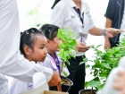 กิจกรรมเนื่องในวันคล้ายวันพระราชสมภพ สมเด็จพระนางเจ้าสิริกิต ... Image 336