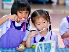 โครงการ ฟ.ฟัน สวยยิ้มใส ปีการศึกษา 2569 Image 236