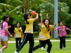 การแข่งขันกีฬาแฮนด์บอล ระดับชั้น ป.6 - ม.1 โครงการกีฬาสีสัมพ ... Image 185