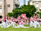 กีฬาสีสัมพันธ์ ครั้งที่ 22 "การโชว์เชียร์" Image 241