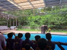 โครงการศึกษานอกสถานที่ ระดับชั้น ป.4 "ตะลุยดินแดนมหัศจรรย์ใน ... Image 104