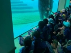 โครงการศึกษานอกสถานที่ ระดับชั้น ป.4 "ตะลุยดินแดนมหัศจรรย์ใน ... Image 109