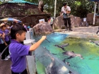 โครงการศึกษานอกสถานที่ ระดับชั้น ป.4 "ตะลุยดินแดนมหัศจรรย์ใน ... Image 86