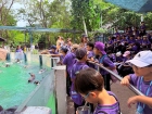 โครงการศึกษานอกสถานที่ ระดับชั้น ป.4 "ตะลุยดินแดนมหัศจรรย์ใน ... Image 89