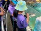โครงการศึกษานอกสถานที่ ระดับชั้น ป.4 "ตะลุยดินแดนมหัศจรรย์ใน ... Image 101