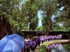 โครงการศึกษานอกสถานที่ ระดับชั้น ป.4 "ตะลุยดินแดนมหัศจรรย์ใน ... Image 49