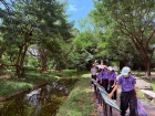 โครงการศึกษานอกสถานที่ ระดับชั้น ป.4 "ตะลุยดินแดนมหัศจรรย์ใน ... Image 51