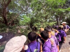 โครงการศึกษานอกสถานที่ ระดับชั้น ป.4 "ตะลุยดินแดนมหัศจรรย์ใน ... Image 54