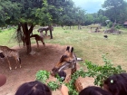 โครงการศึกษานอกสถานที่ ระดับชั้น ป.4 "ตะลุยดินแดนมหัศจรรย์ใน ... Image 130